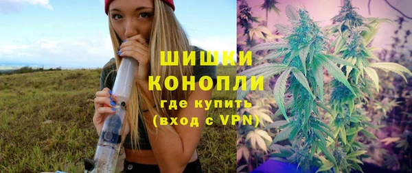 ешки Дмитровск