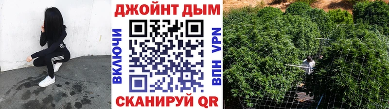 Купить закладки  Старица  МАРИХУАНА SATIVA & INDICA 